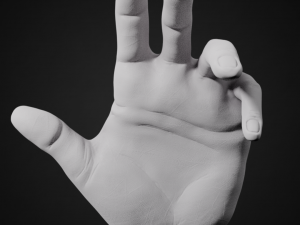 hand posed 3D 프린트 모델