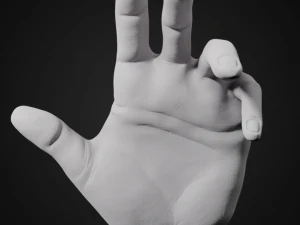 hand posed 3D Print Model
