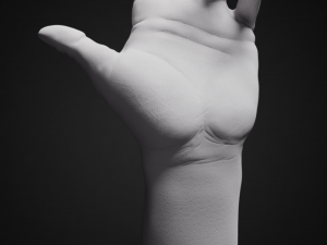 hand posed 3D 프린트 모델
