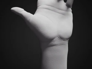 hand posed 3D Print Model
