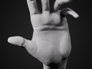 hand posed 3D 프린트 모델