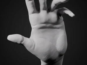 hand posed 3D Print Model