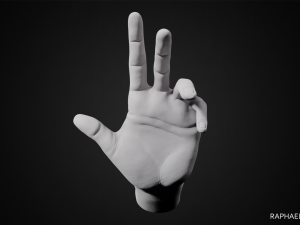 hand posed 3D 프린트 모델