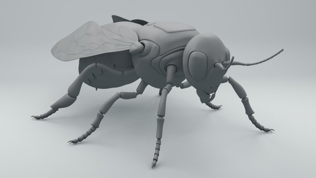 bee 3D 模型 .c4d .max .obj .3ds .fbx .stl .blend 