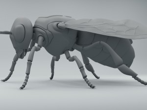 bee 3D 模型