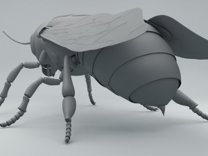 bee 3D 模型