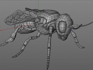 bee 3D 模型