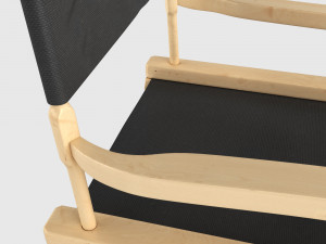 chair director Model 3D