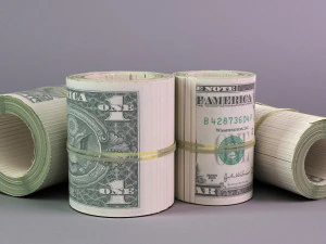 set of dollar bills 3D Model
