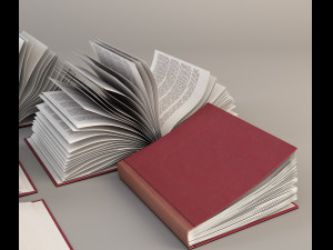 set of open books 3D Model