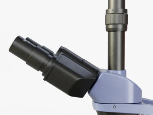 सूक्ष्मदर्शी लेवेनहुक 3D मॉडल