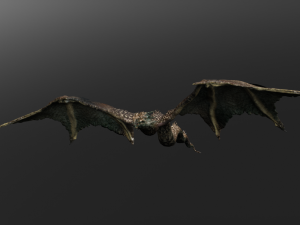 dragon model 3D 모델