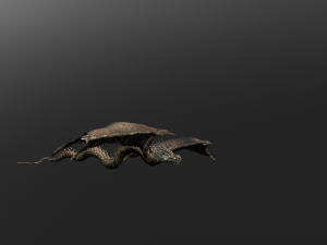 dragon model Modelo 3D