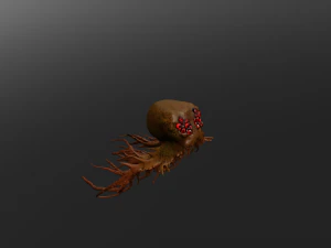 art de la m&eacute;duse Modèle 3D