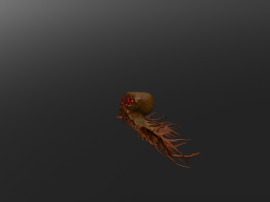 medusahalflife art 3D मॉडल