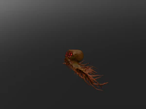 medusahalflife art 3D Model