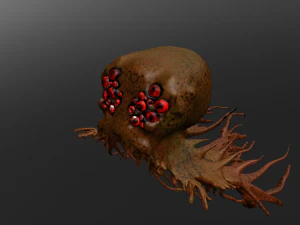 medusahalflife art 3D Model