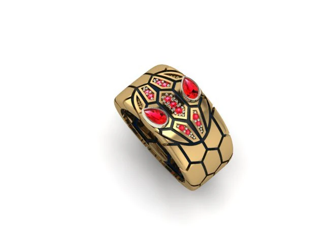 リングSN1 3Dプリントモデル .c4d .max .obj .3ds .fbx .stl .blend 