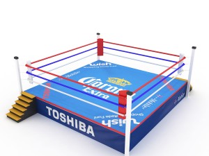 boxing ring 3D Model