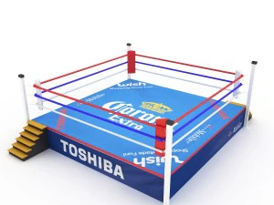 ring de boxe Modèle 3D