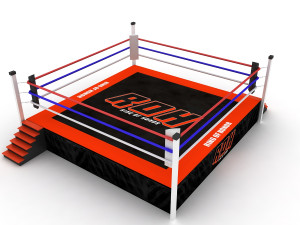 boxing ring Modelo 3D