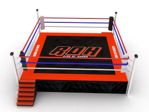 boxing ring Modelo 3D