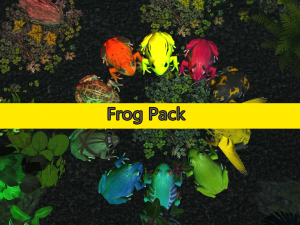 frog pack vr 3D 모델