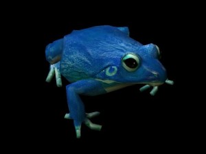 frog pack vr Modello 3D