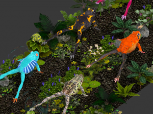 frog pack vr Modello 3D