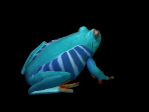 frog pack vr Modello 3D