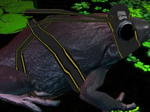 frog pack vr 3D Model