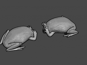 frog pack vr Modello 3D