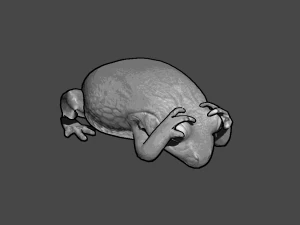 frog pack vr 3D Model