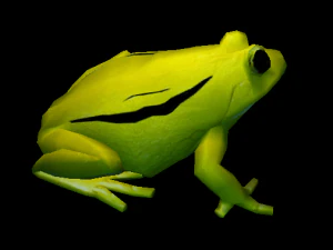 frog pack vr 3D Model