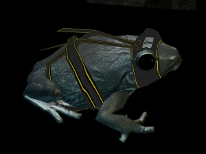 frog pack vr 3D Model