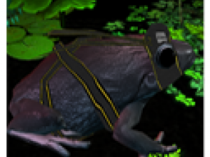frog pack vr Modello 3D