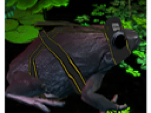 frog pack vr 3D Model