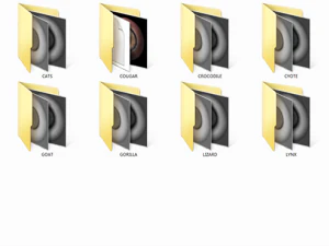 super practical eyeball collection CG Textures