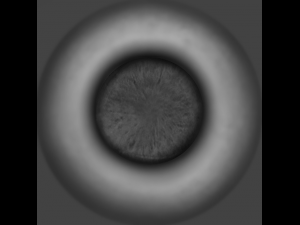 super practical eyeball collection CG Textures