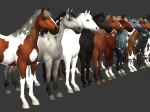horse pack 3D 模型