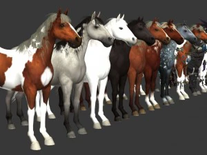 horse pack 3D Model
