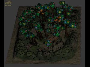 fantasy phoenix forest 3D Model