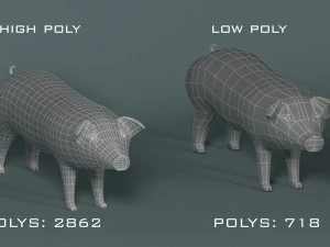 pig 3D Model