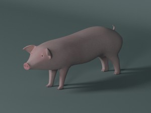 pig 3D मॉडल