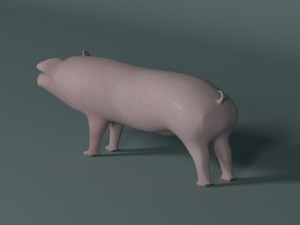pig 3D मॉडल