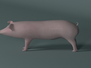 pig 3D मॉडल