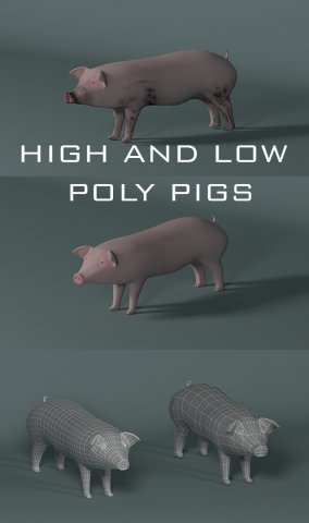 pig 3D मॉडल .c4d .max .obj .3ds .fbx .stl .blend 