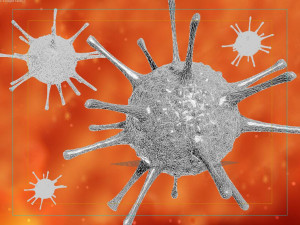 viruses bacteria science cells nerve cells neurons 3D Model