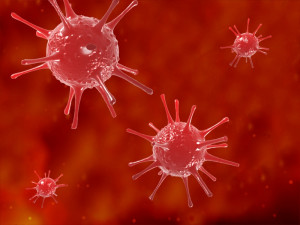 viruses bacteria science cells nerve cells neurons 3D Model