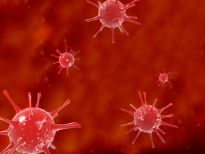 viruses bacteria science cells nerve cells neurons 3D Model